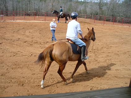 Dawn coaching Jeremy riding Mattie during lesson