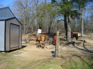 The Tack Shed
